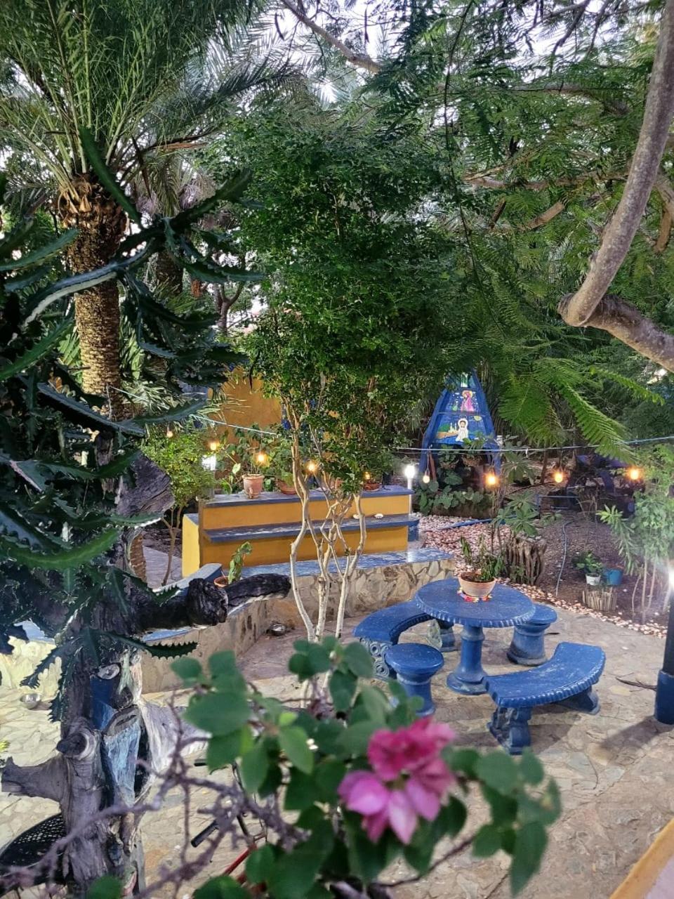 Steviewonderland Playa El Yaque Hotel Bagian luar foto