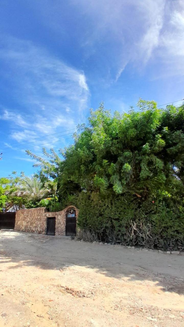 Steviewonderland Playa El Yaque Hotel Bagian luar foto