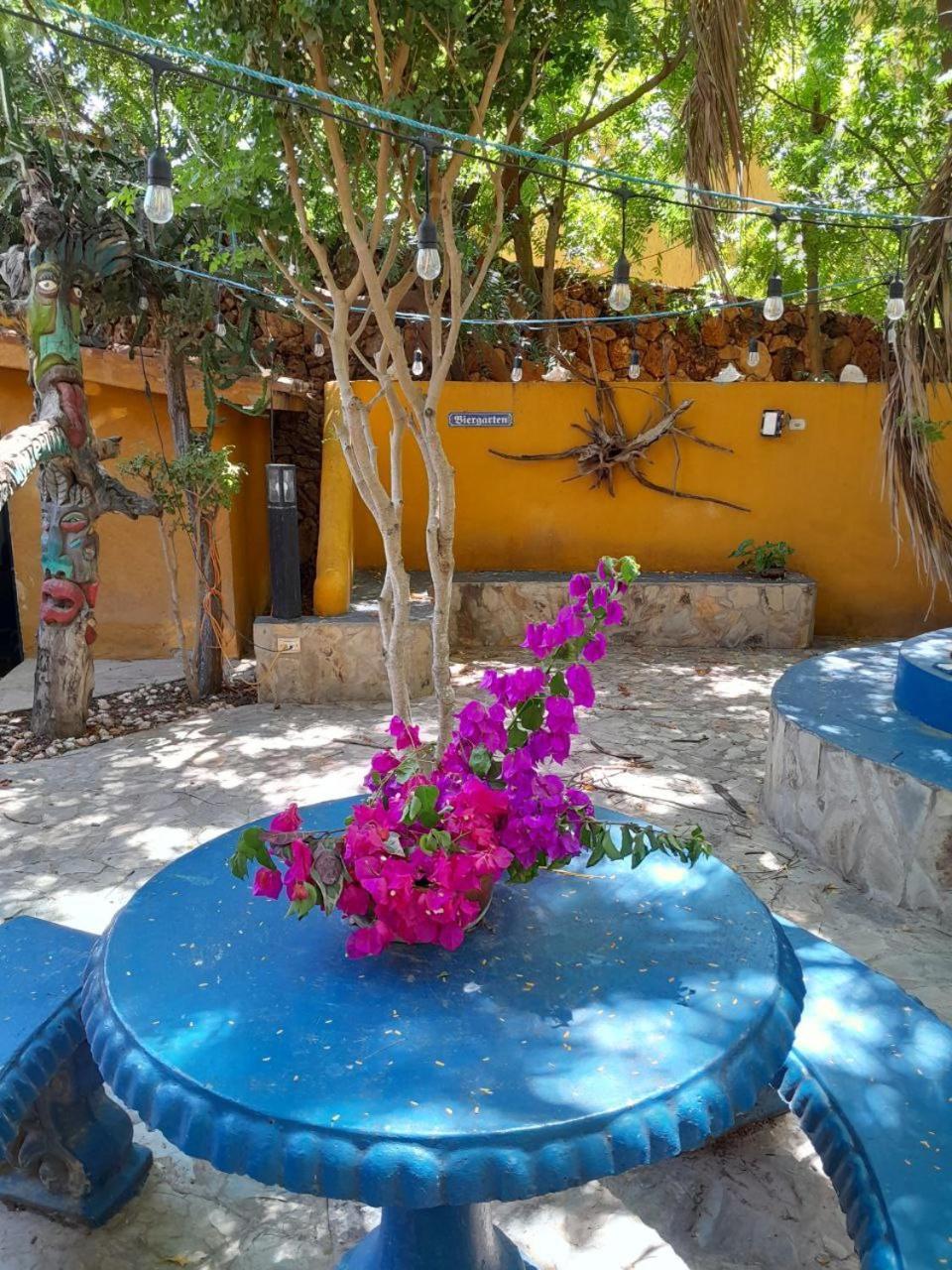Steviewonderland Playa El Yaque Hotel Bagian luar foto